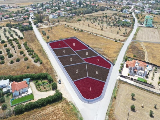 Opportunity Plots with Prices Starting from 53.000 in Balıkesir Region