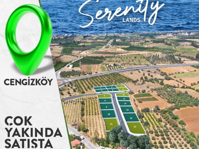 For sale. Plot. Cengizköy.