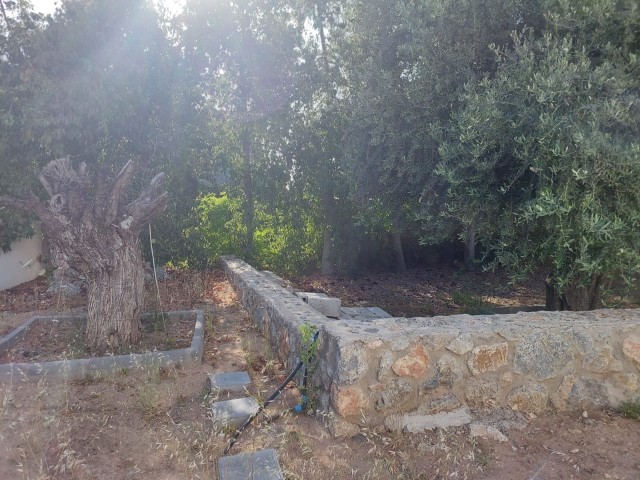 Villa For Sale in Çatalköy, Kyrenia