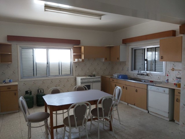 Flat To Rent in Marmara, Nicosia