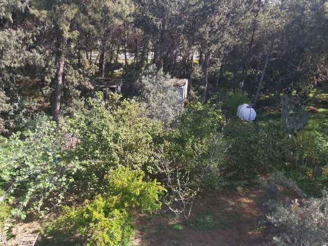 Freistehendes Haus mit Garten zu verkaufen in Kyrenia Bogaz. 