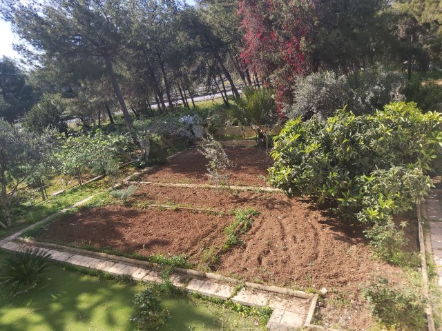 Freistehendes Haus mit Garten zu verkaufen in Kyrenia Bogaz. 