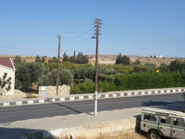 استودیو فلت برای اجاره in Lefke, لفکه