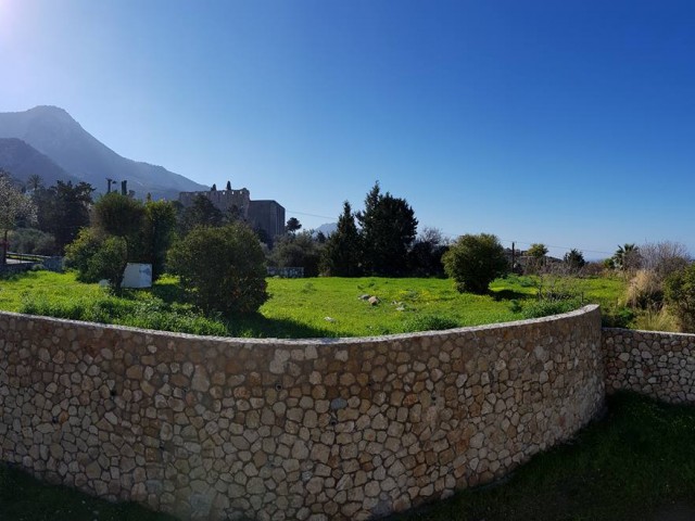 Girne Bellapais Satılık Villa 5 3