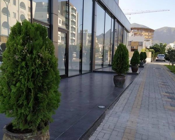 Büro Kaufen in Girne Merkez, Kyrenia
