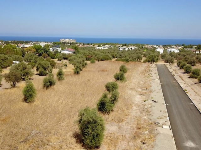 Plot for sale in Ozanköy, Girne, North Cyprus