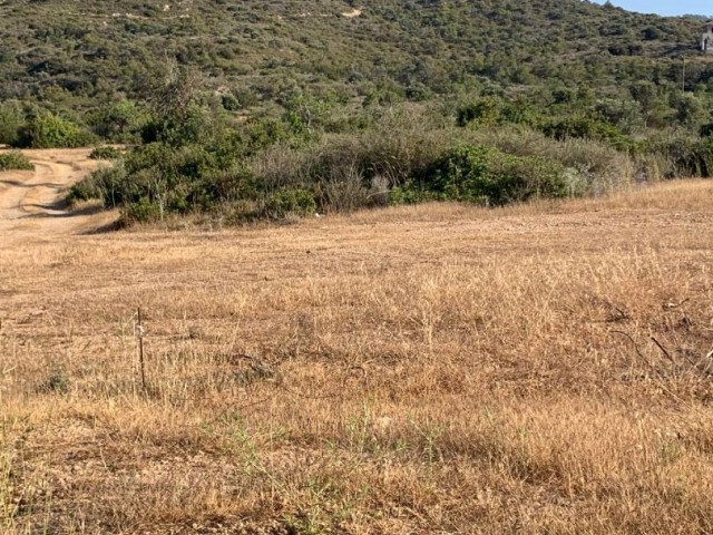 Land Zum Verkauf In Kyrenia Garten ** 