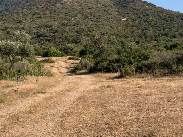 Land Zum Verkauf In Kyrenia Garten ** 