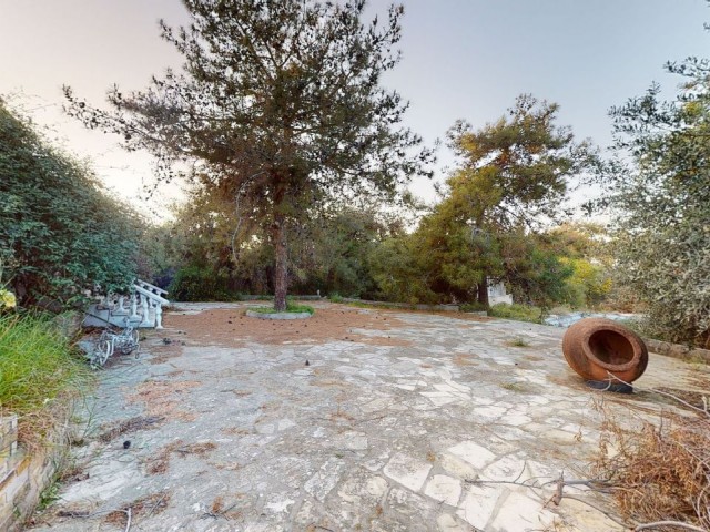 Zu verkaufen Feld und altes Herrenhaus in Dogankoy, Ober-Kyrenia