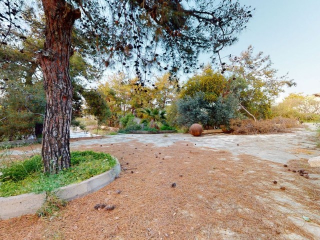 Upper Kyrenia Doğanköy Land and Old Mansion for Sale