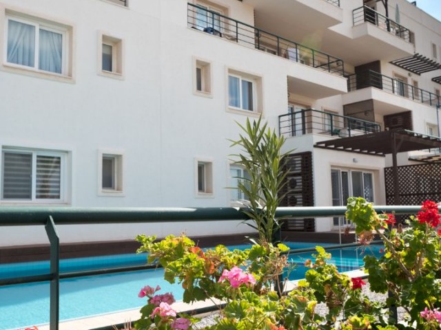 İskele Bafra 2+1 Satılık Penthouse