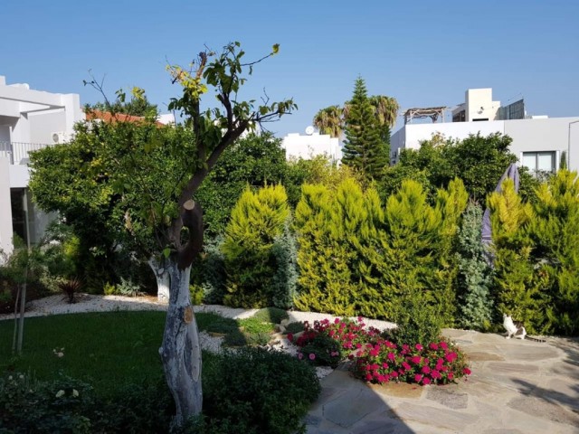 Villa For Sale in Alsancak, Kyrenia