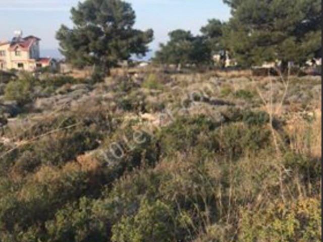 1 DECARE OF LAND WITH MAGNIFICENT MOUNTAIN AND SEA VIEWS IN ÇATALKÖY WITH A PERMIT FOR PASSAGE IS equivalent to the title deed ** 