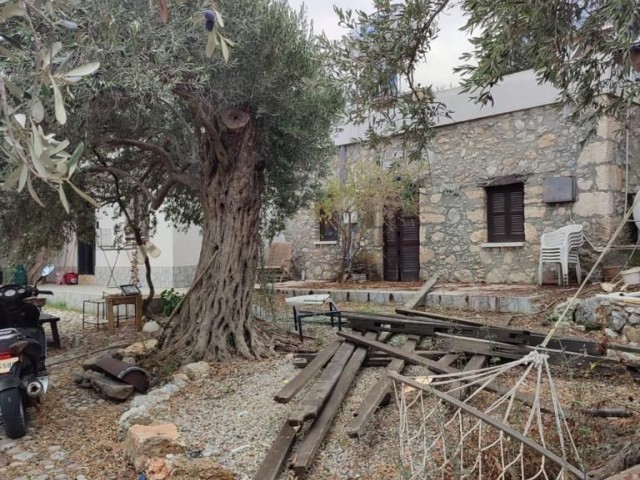 Einfamilienhaus Kaufen in Karşıyaka, Kyrenia