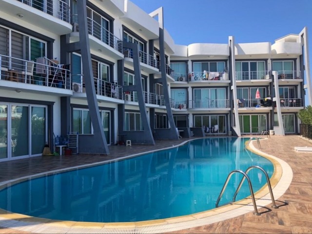 Komplett möbliertes Studio-Apartment zum Verkauf in einem Komplex mit Pool in Alsancak, fertige Kaufurkunde, kreditwürdig