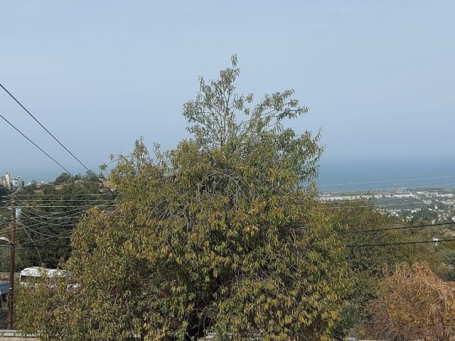 Neu möblierte 3+1-Wohnung zur Miete mit Meerblick in Bellapais