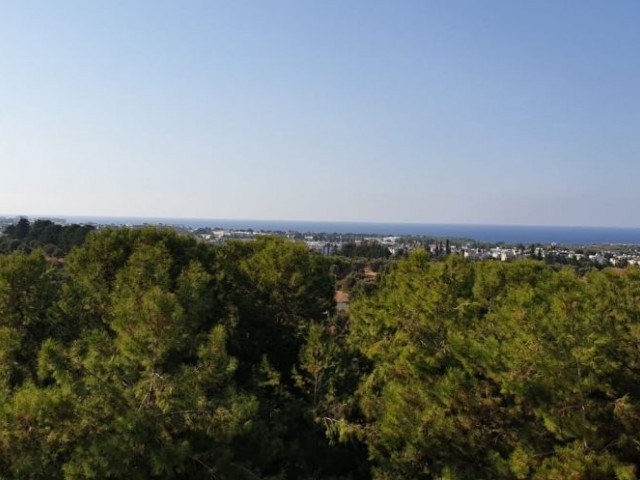 Eben Kaufen in Girne Merkez, Kyrenia