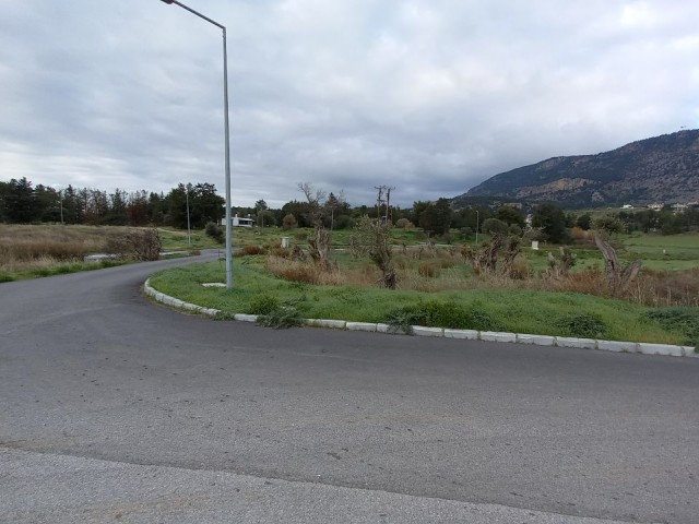 Girne Boğaz Satılık Türk Koçanlı Arsa