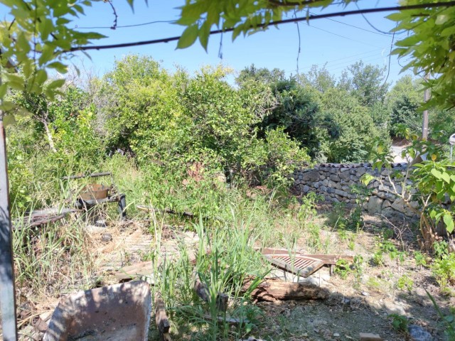 An Old Cypriot House with a Large Garden for Sale in Lapta ** 