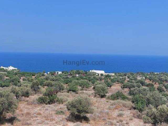 Land For Sale In Kayalar