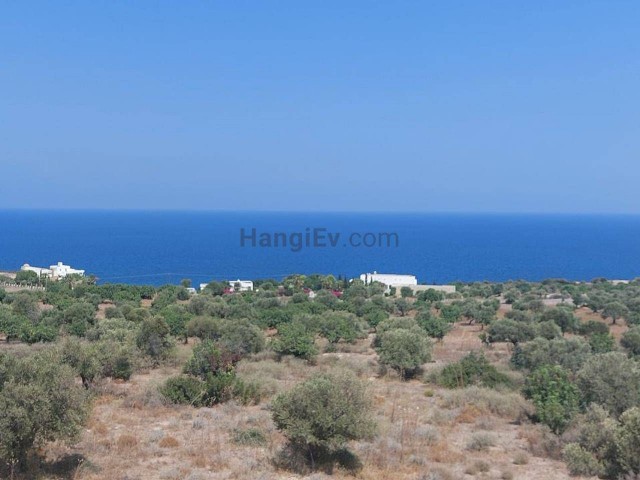 Land For Sale In Kayalar