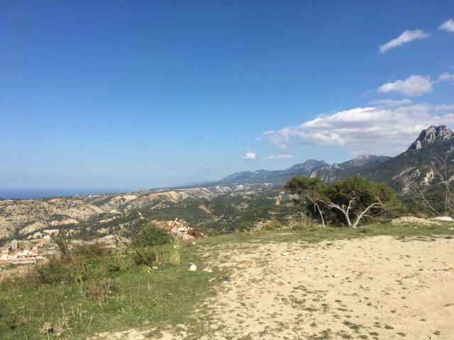 Wohngebiet Kaufen in Arapköy, Kyrenia