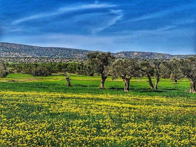 ساختمان ناتمام برای فروش in Mehmetçik, ایسکله