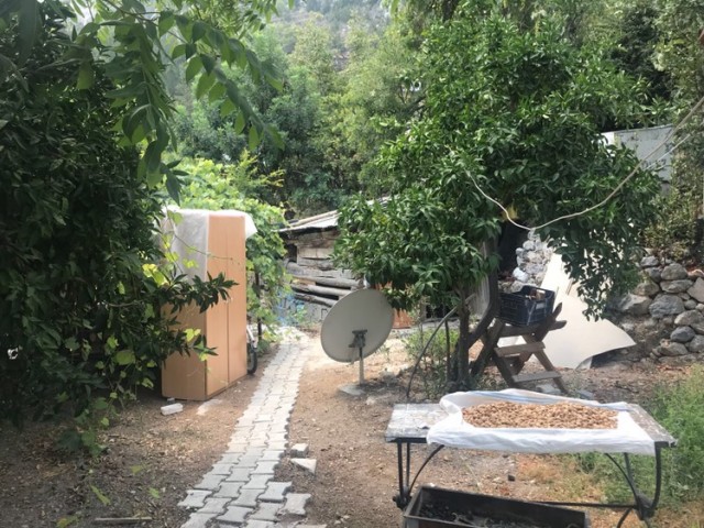 Einfamilienhaus Kaufen in Lapta, Kyrenia