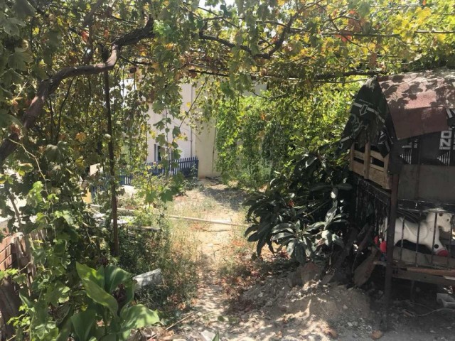 Einfamilienhaus Kaufen in Lapta, Kyrenia