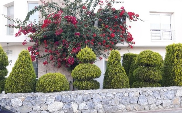 خانه مستقل برای فروش in Güzelyurt Merkez, گوزلیورت