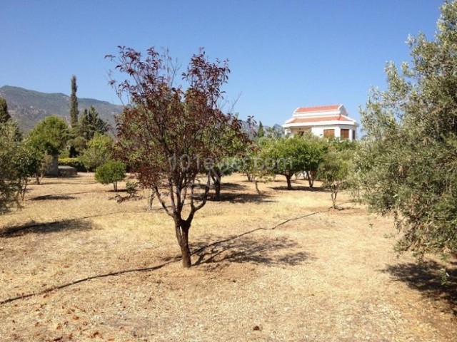 VILLA ZU VERKAUFEN Ein leidenschaftliches Leben erwartet Sie im Zauber von Grün und Blau mit herrlichem Berg- und Meerblick in Alsancak, Kyrenia 550.000 STG