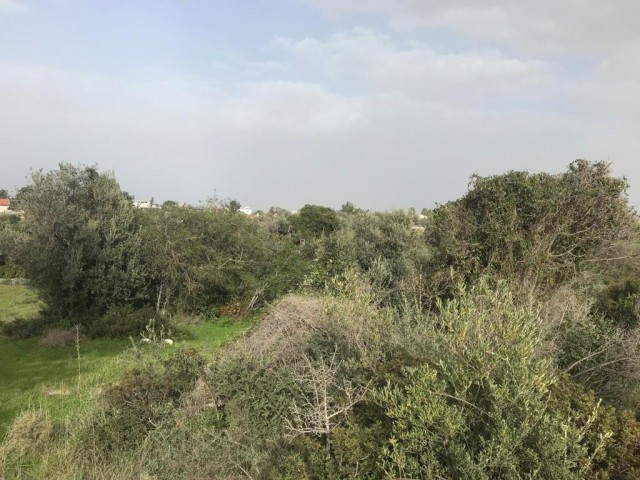 منطقه مسکونی برای فروش in Ozanköy, گیرنه