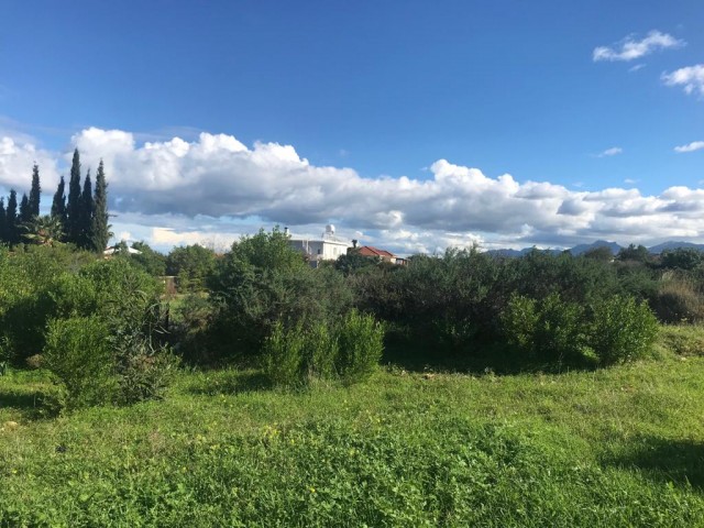 жилая зона Продается in Ozanköy, Кирения