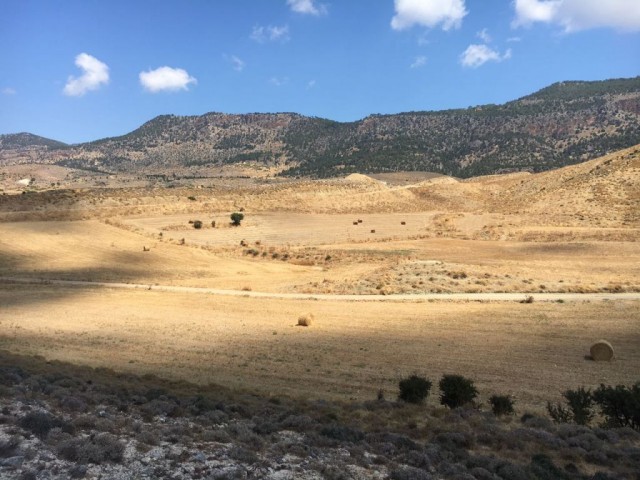 Girne Pınarbaşın'da 35 dönüm 2 Evlek Türk Malı Satılık Tarla Dönümü 6000 STG