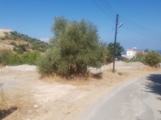 Girne Alsancak'da 3+1 Satılık Villa 220000 STG