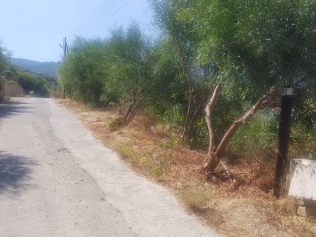 ویلا برای فروش in Alsancak, گیرنه