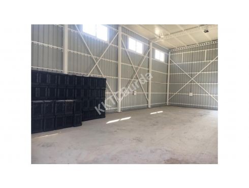 Vermietung Kühlhaus im Industriegebiet von Nicosia Alayköy 1000 Stg ** 