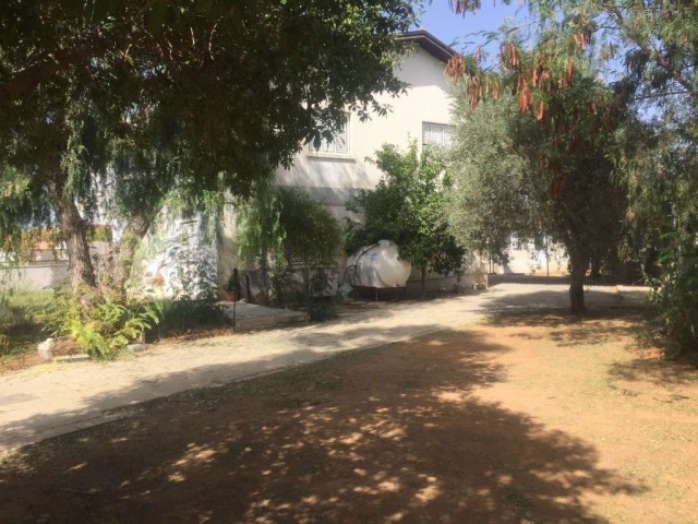 Villa Mieten in Ortaköy, Nikosia