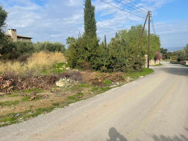 LAND FOR SALE IN KYRENIA BEYLERBEYI 135 dec000 STG ** 