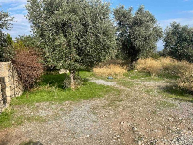 LAND FOR SALE IN KYRENIA BEYLERBEYI 135 dec000 STG ** 