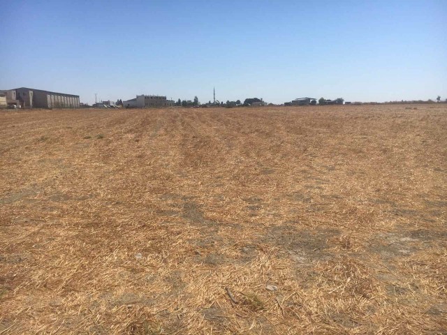 Grundstück zum Verkauf in Nikosia Cihangirde 8 acres 2 evlek 1800a2, Acre 20.000 stg ** 