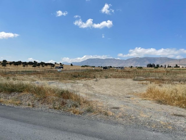 3.5 Acres of Land for Sale in Aşağı Dikmen 75,000 STG ** 