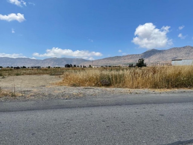 3.5 Acres of Land for Sale in Aşağı Dikmen 75,000 STG ** 