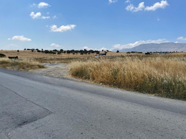 4.5 Acres of Land for Sale in Aşağı Dikmen 80,000 STG ** 