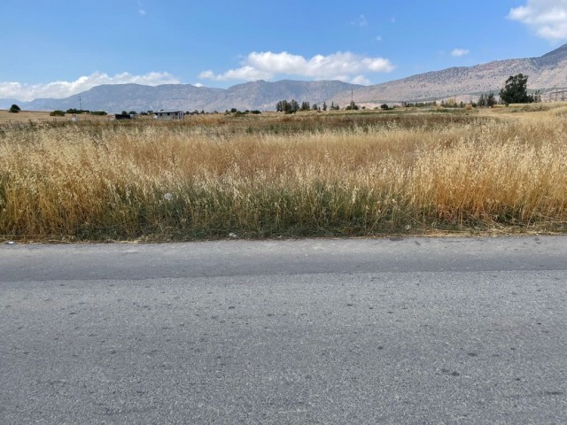 4.5 Acres of Land for Sale in Aşağı Dikmen 80,000 STG ** 