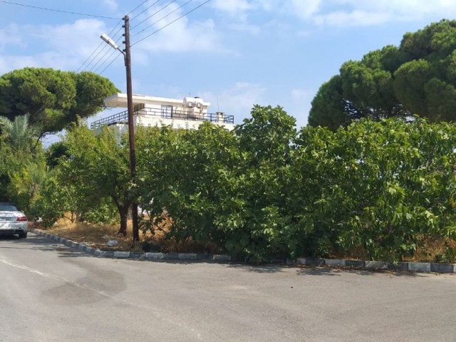 A Plot of Land for Sale in Kyrenia Alsancak Dec ** 