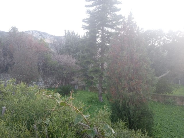 Einfamilienhaus mit Pool mit Berg - und Meerblick in chatalköy ** 