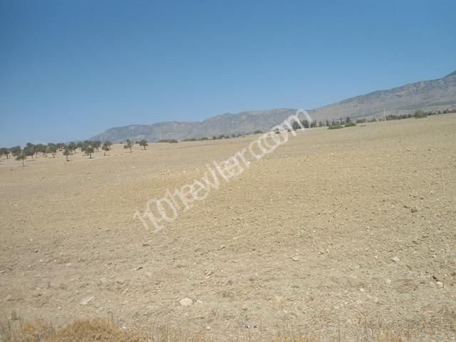 10 ACRES OF LAND FOR SALE IN DIKMEND ** 