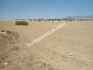 10 ACRES OF LAND FOR SALE IN DIKMEND ** 