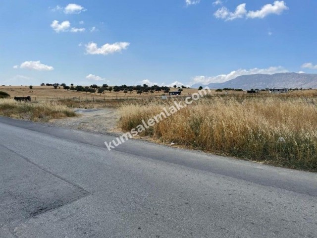 10 HEKTAR LAND ZUM VERKAUF IN DIKMENDE ** 